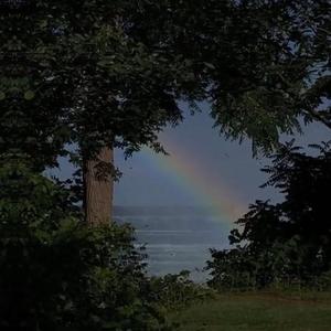 荫道添到高潮A片
